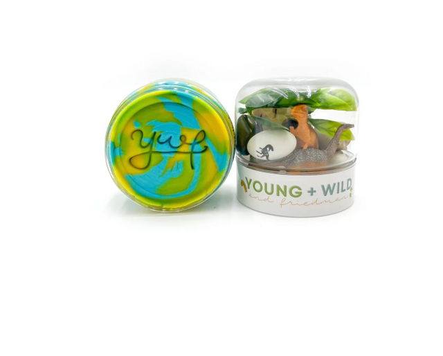 Dinosaur Grab & Go Dough Jar
