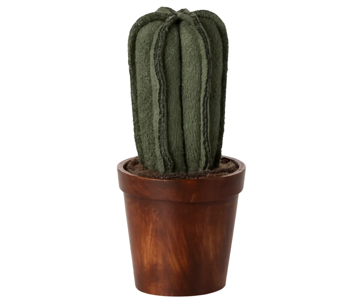 Flower Pot with Cactus