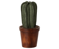 Flower Pot with Cactus