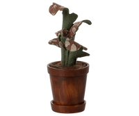 Flower Pot w/ Plant