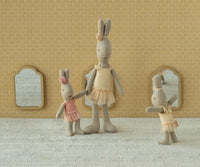 Micro Rabbit Ballet Skirt and Suit - Rose