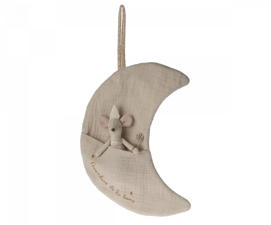 Moon, L-aventure de la lune