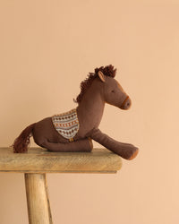 Pony Medium