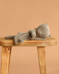Small Sleeping Kitten - Grey
