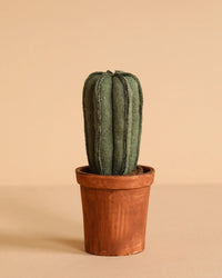 Flower Pot with Cactus