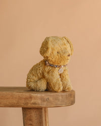 Small Puppy - Soft Sand