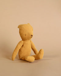 Teddy Junior