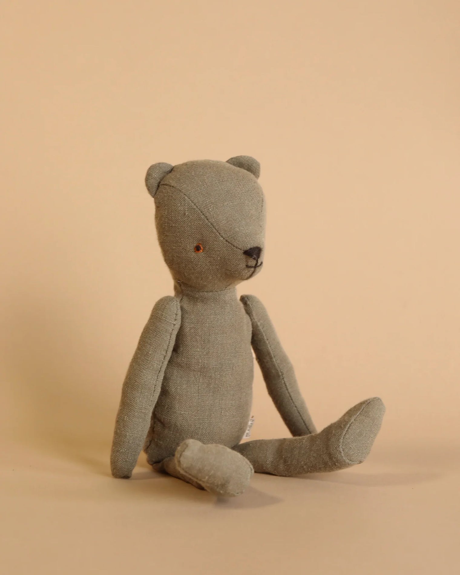 Teddy Dad