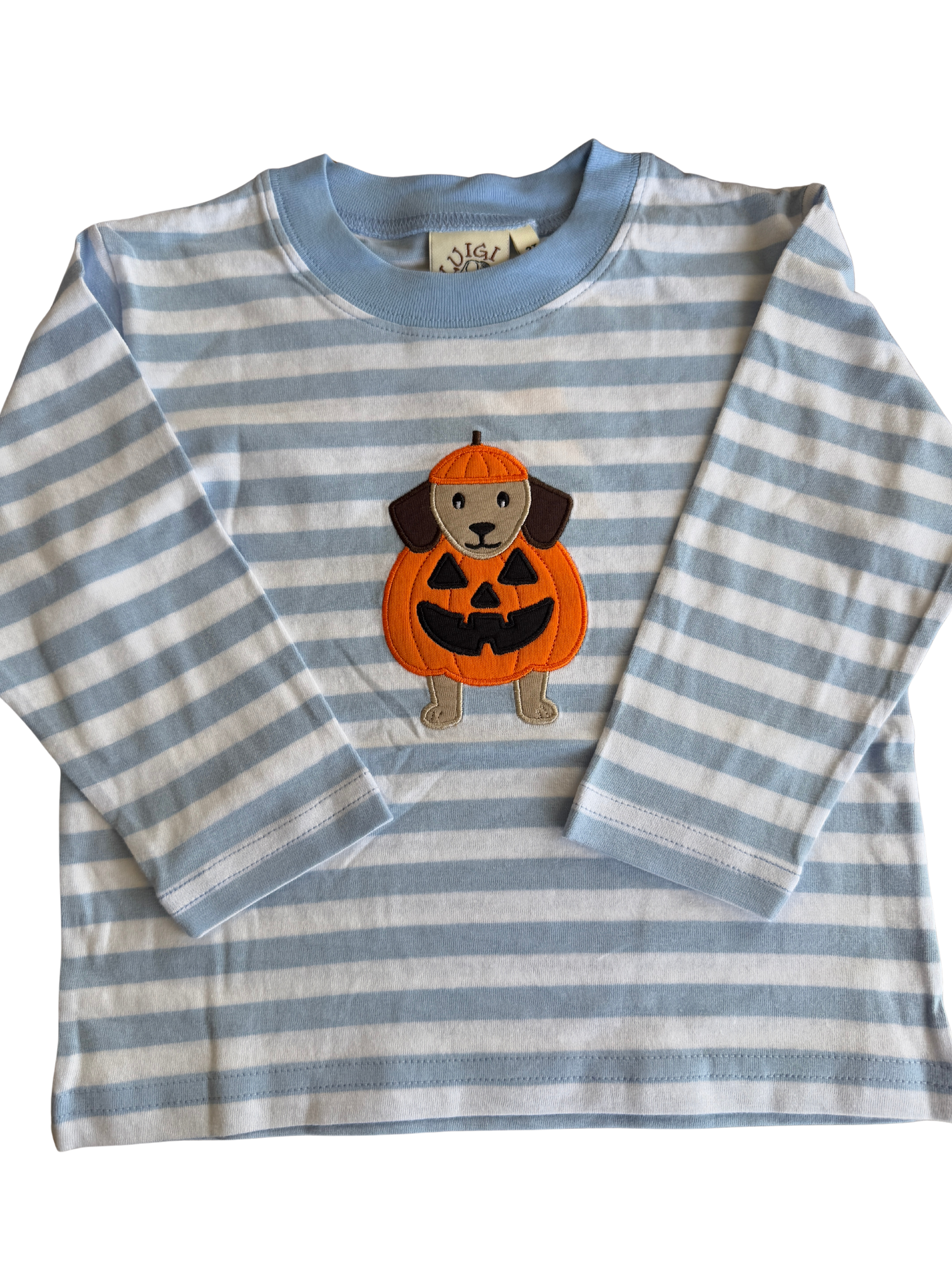 Boys LS Striped T-Shirt - Dog in Pumpkin Costume