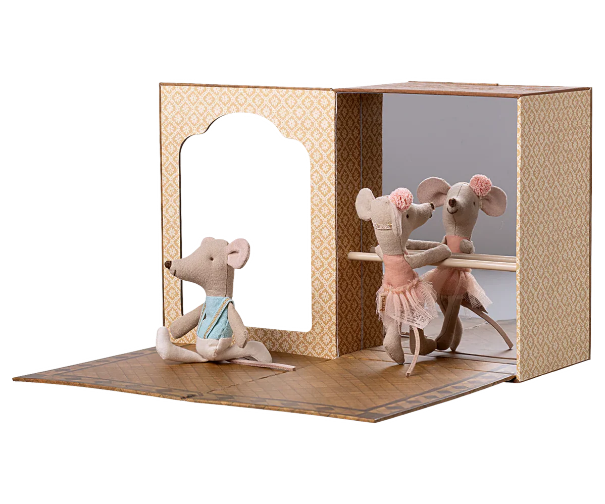 Ballet Mice In Dance Studio, Litttle Sister & Brother