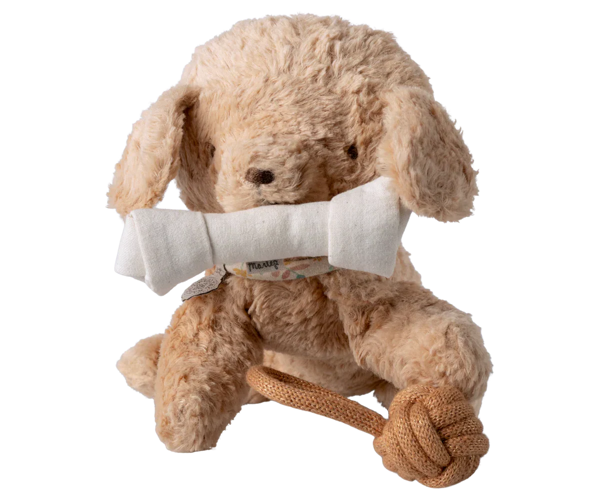 Pet Supply Toys