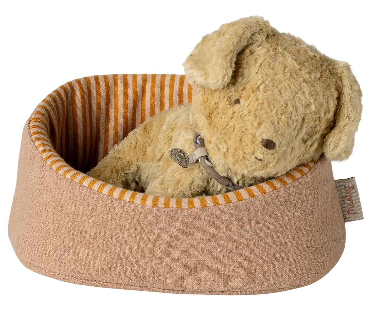 Pet Basket - Powder