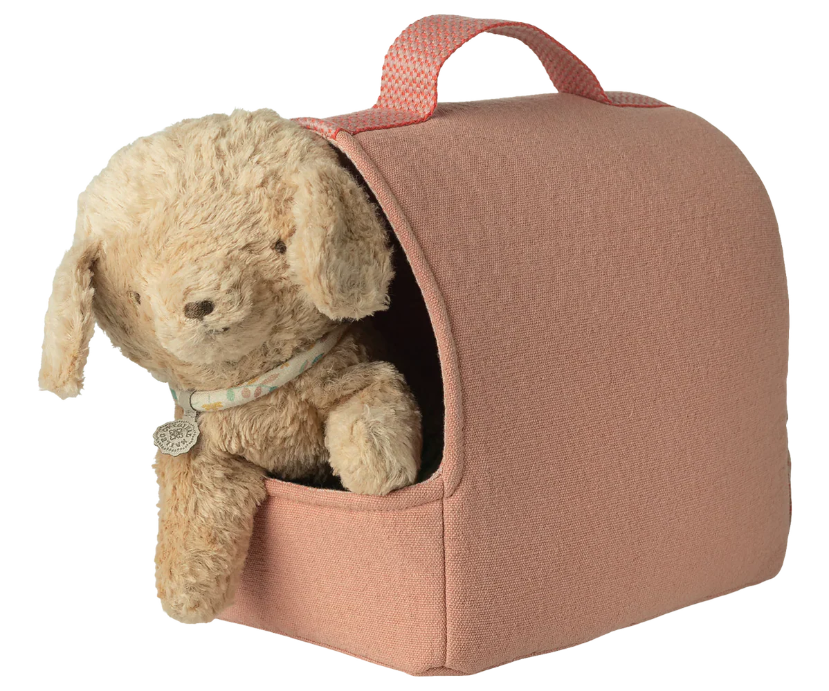 Pet Carrier - Coral