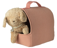 Pet Carrier - Coral