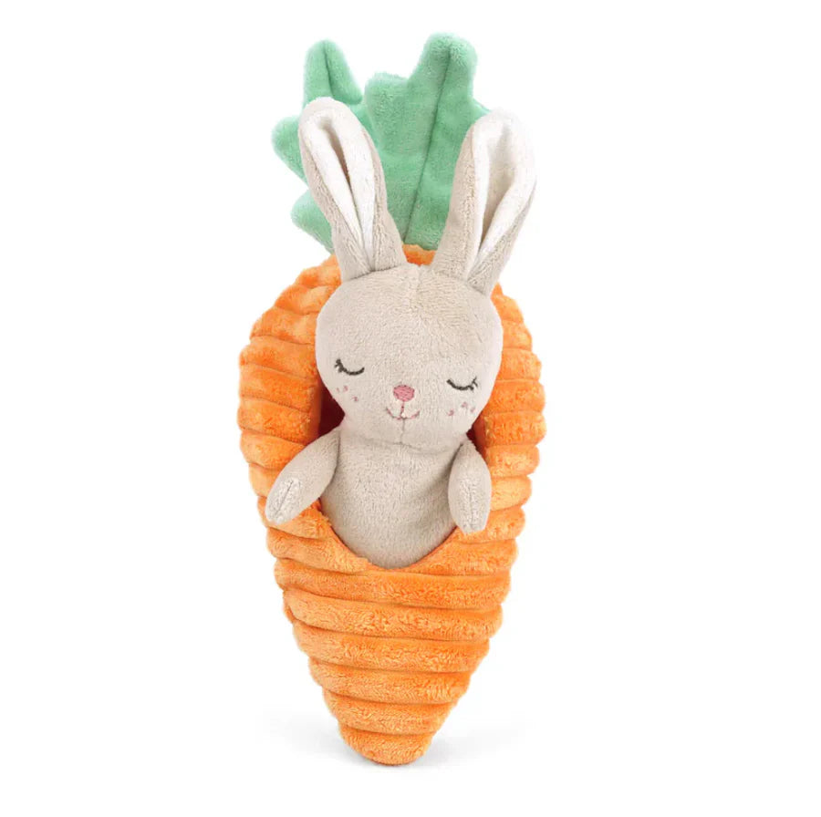 Carrot with Bunny