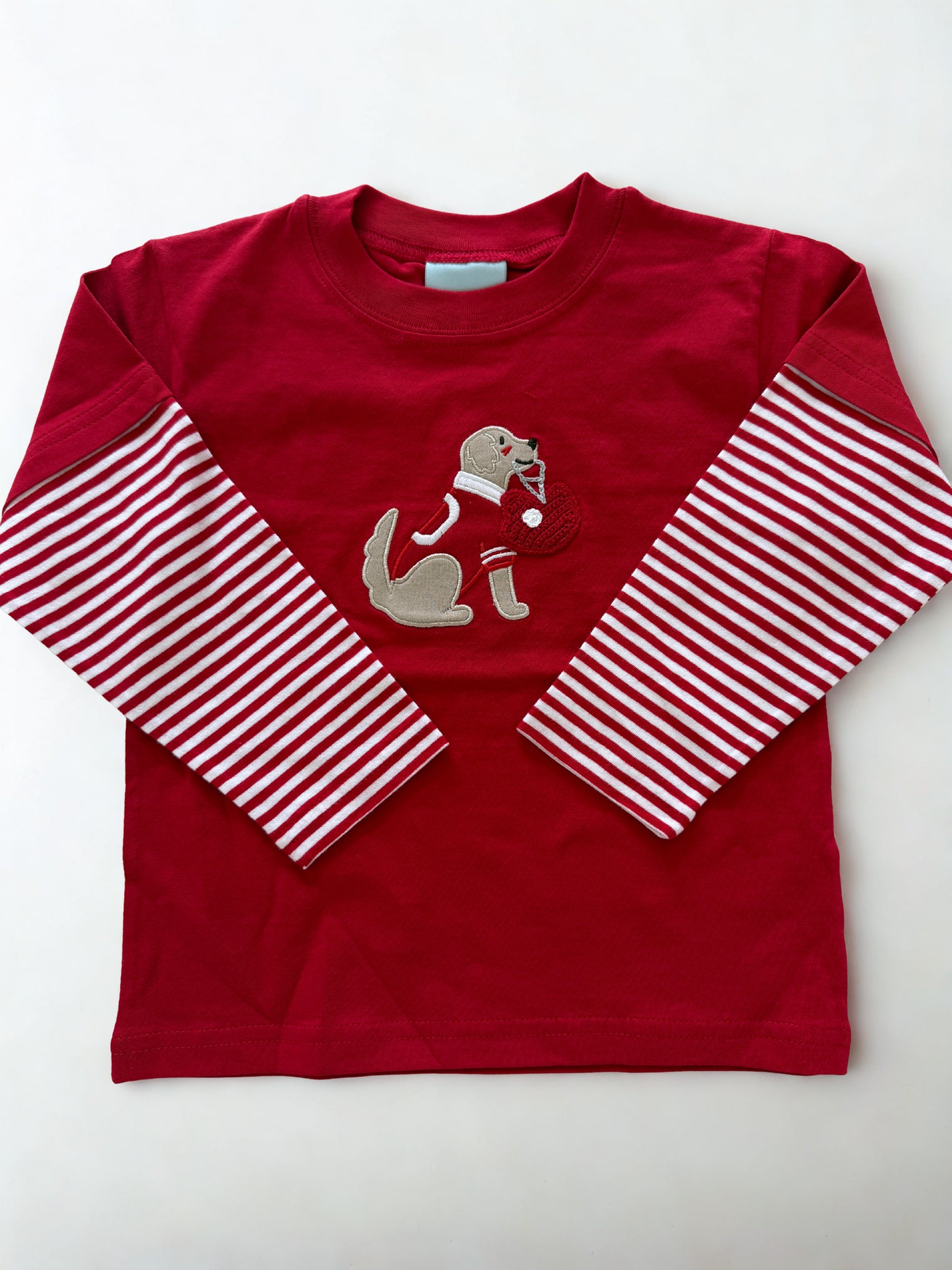 Red Shirt with Dog Holding a Helmet
