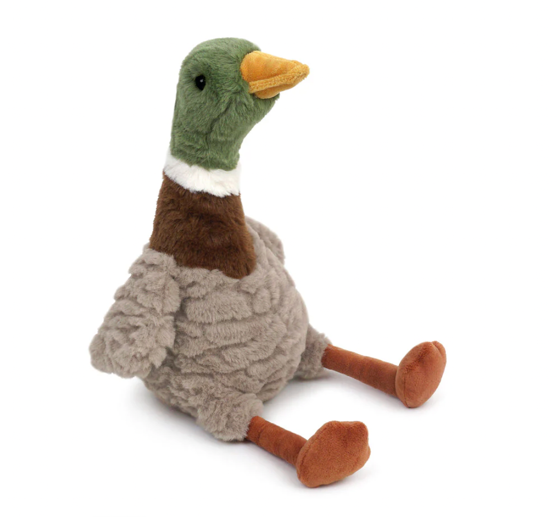 River Mallard Duck