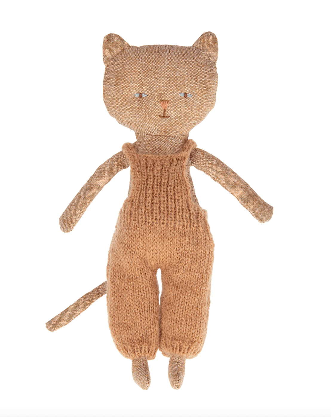 Chatons Kitten - Ginger