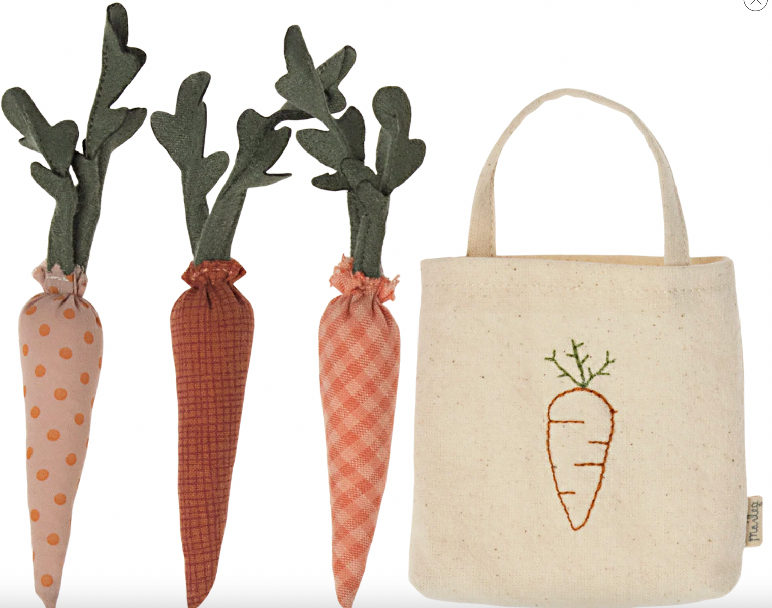 Carrots in Shopping Bag