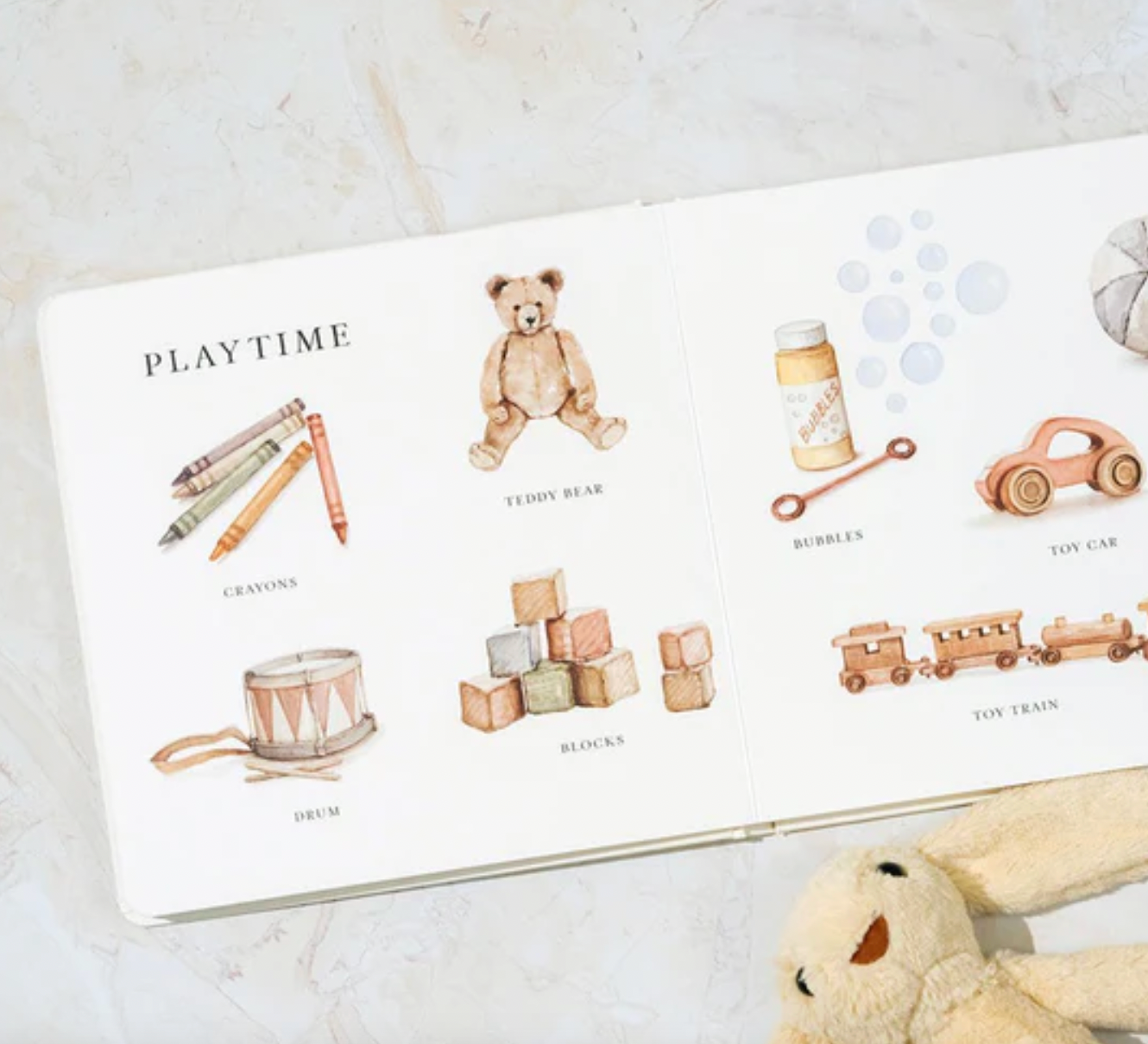 Our Big Book of Words