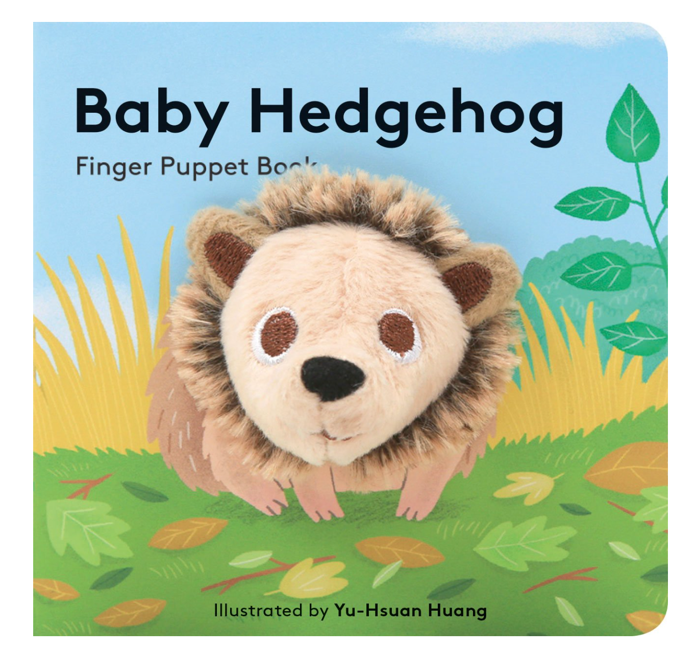Baby Hedgehog