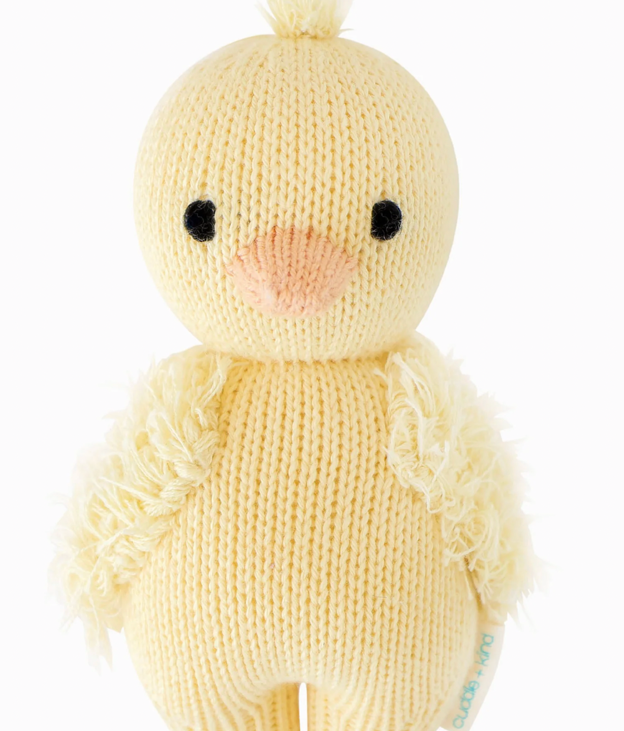 Baby Duckling