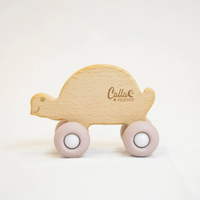 Rollin’ Friends - Turtle