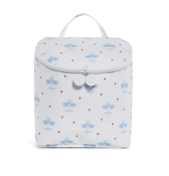 Take Away Insulated Lunch Bag - David's Airplane