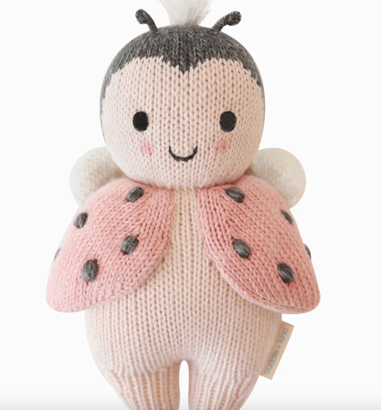 Baby Ladybug