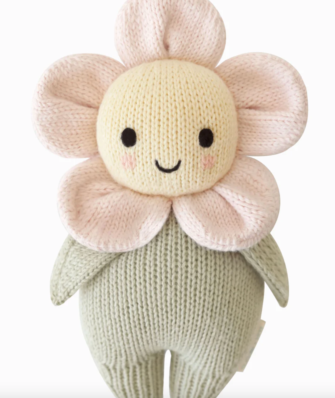 Baby Daisy - Blush Pink