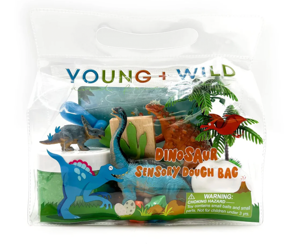 Dinosaur Sensory Dough Bag