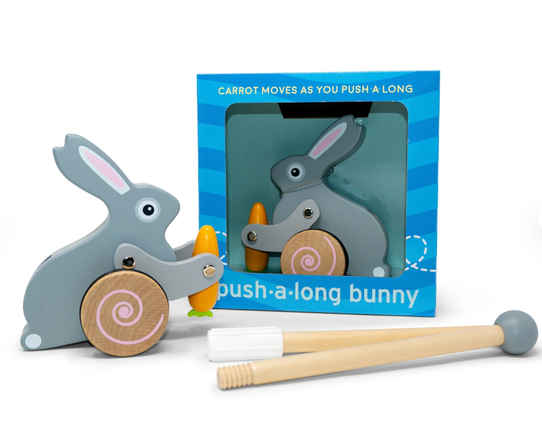 Bunny Push Toy