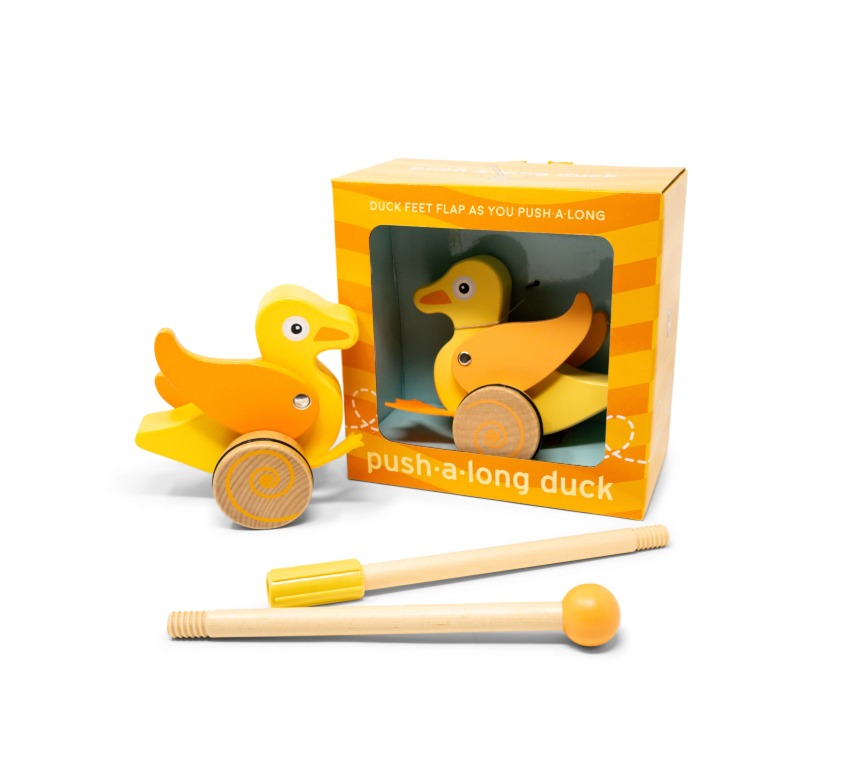 Duck Push Toy