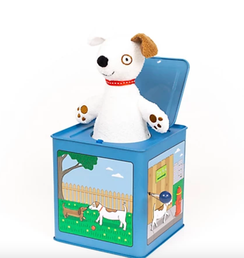 Dog Jack-In-The-Box