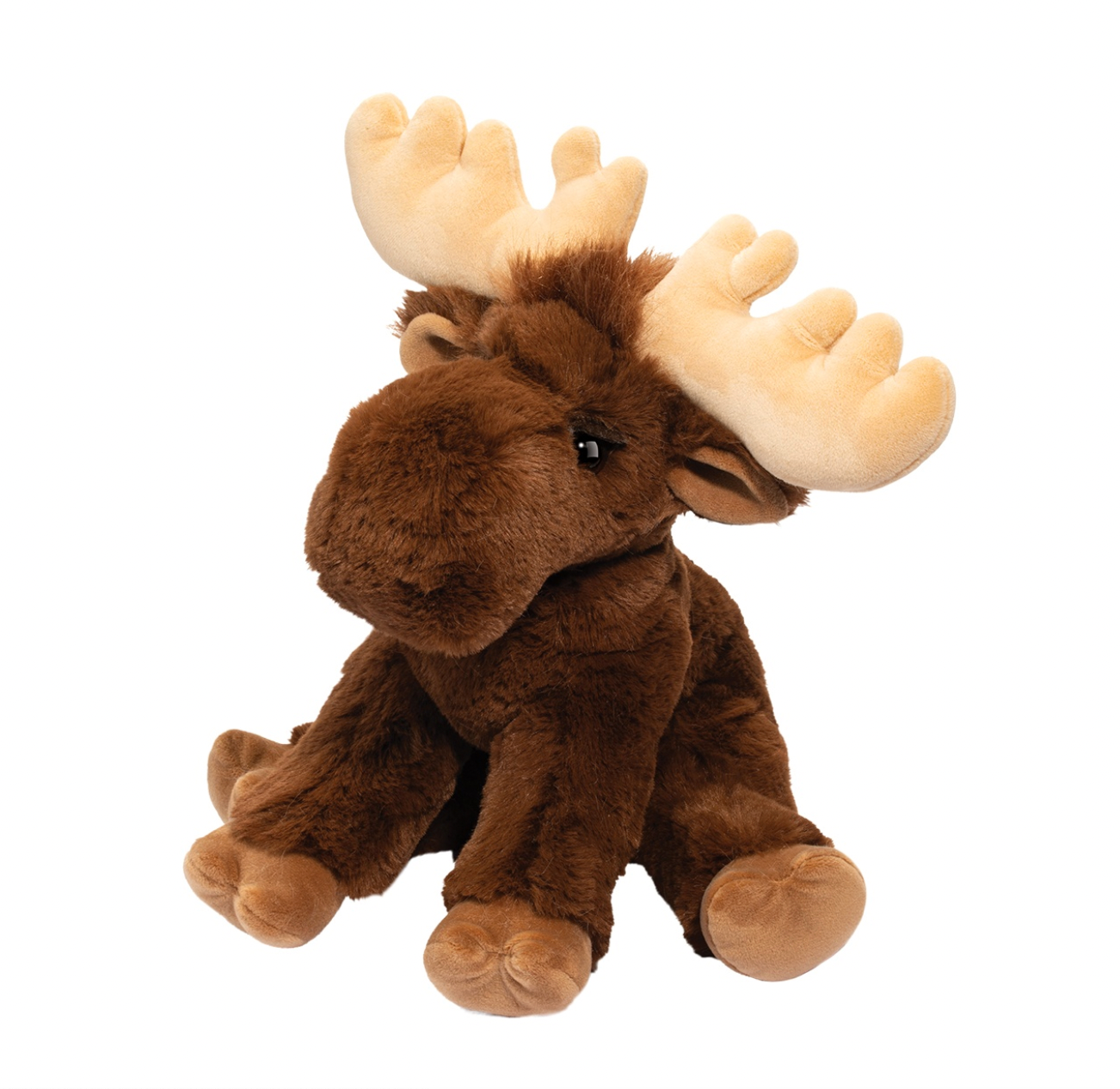 Judie Moose