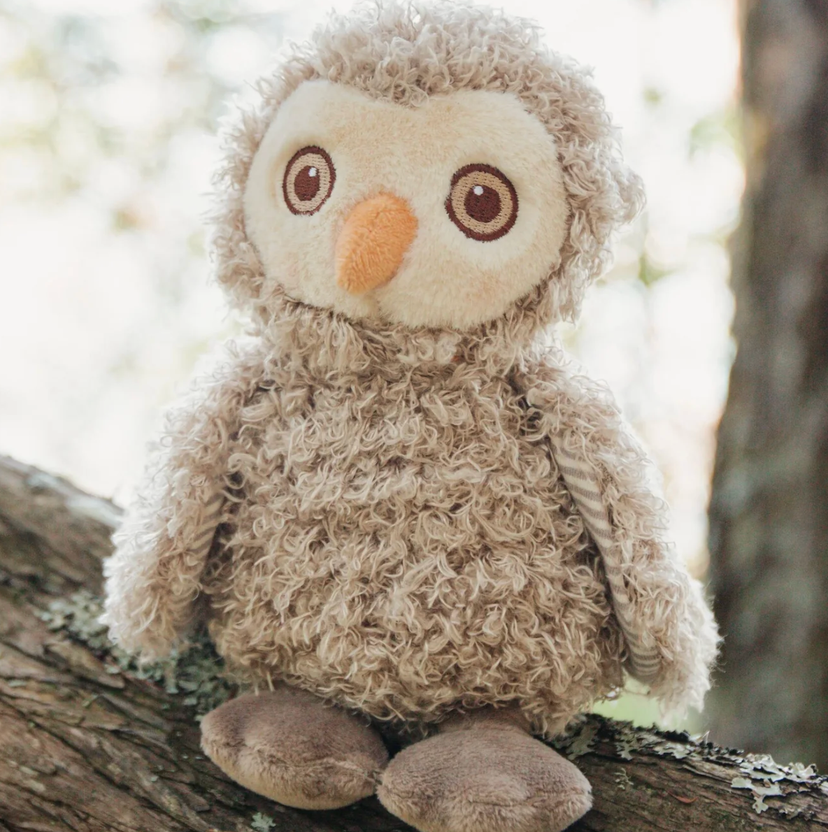 Blink The Owl