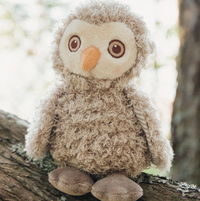 Blink The Owl