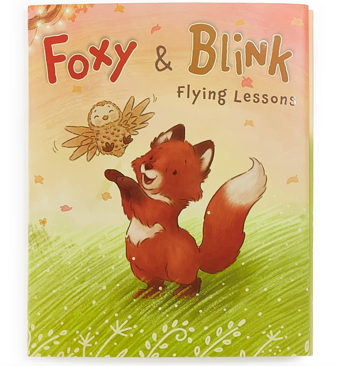 Foxy & Blink Flying Lessons Story Book