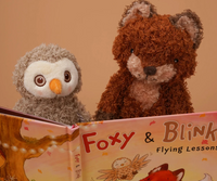 Foxy & Blink Flying Lessons Story Book