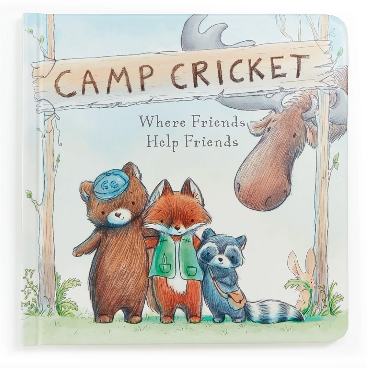 Camp Cricket Board Book
