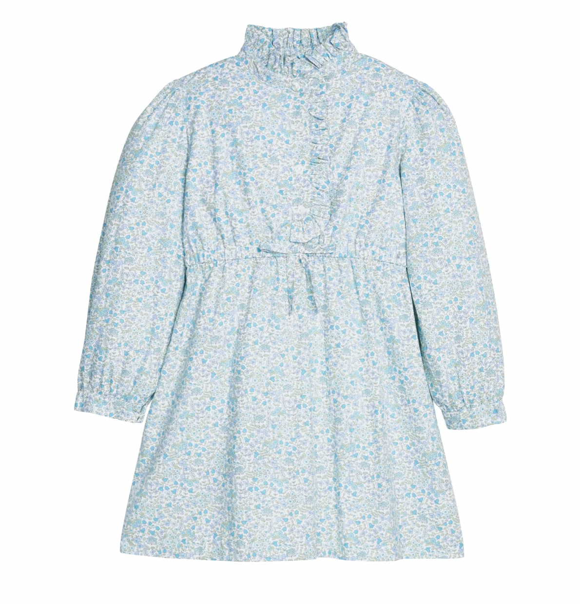 Waterbury Floral Ruffled Shirt Dress
