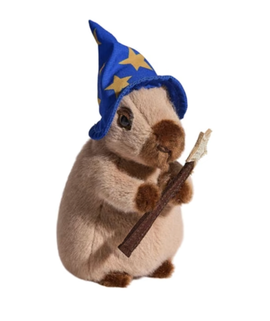 Wizard Capybara