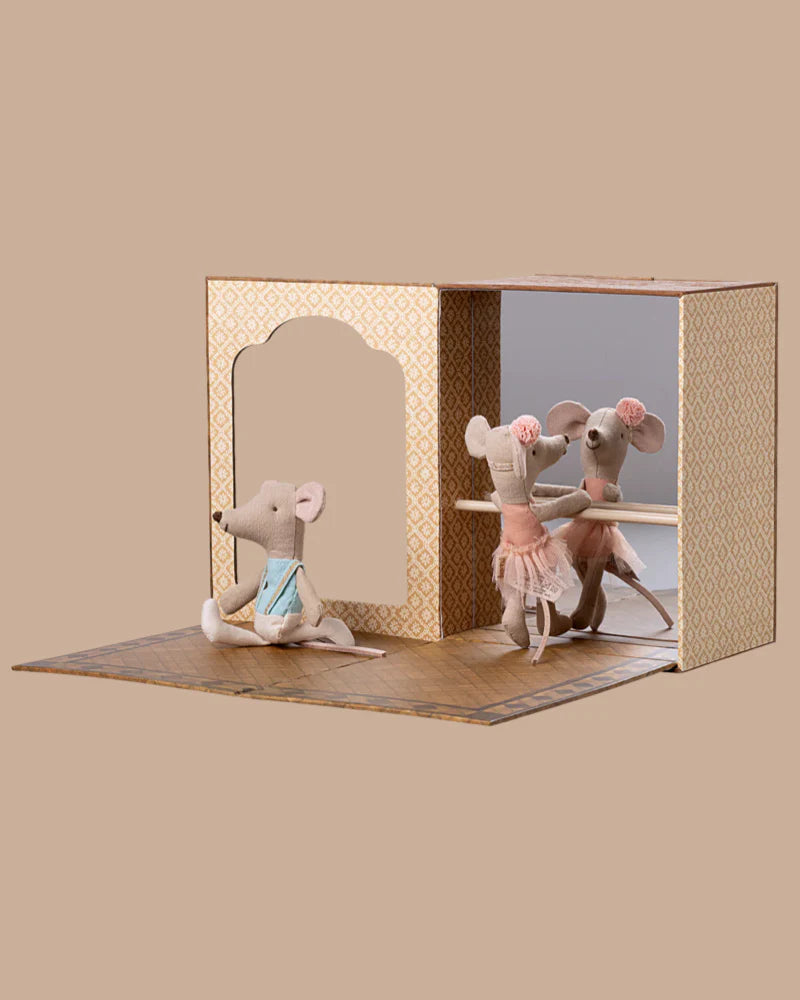 Ballet Mice In Dance Studio, Litttle Sister & Brother