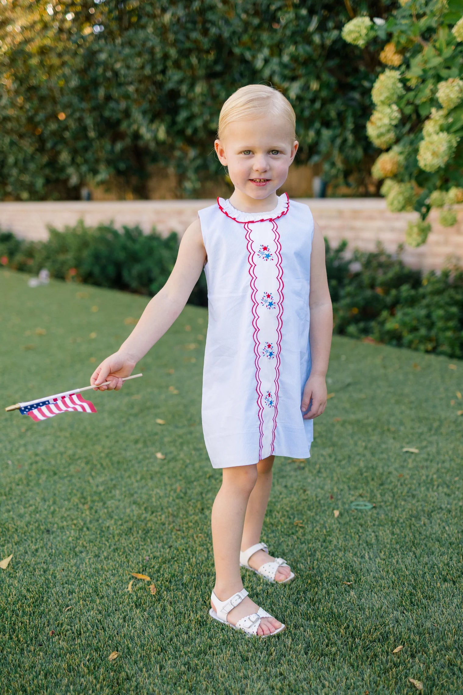 Revere Fireworks Dress